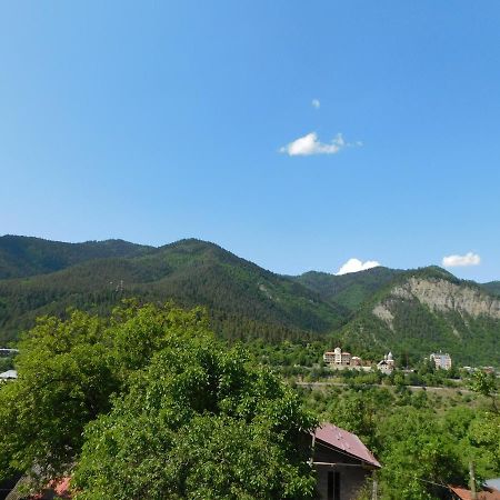 Akaki'S Guesthouse Bordžomi Exteriér fotografie